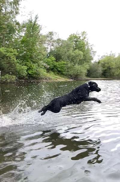 Dogorama-Monats-Challenge-Mai "Wasser"-Beitrag-Bild