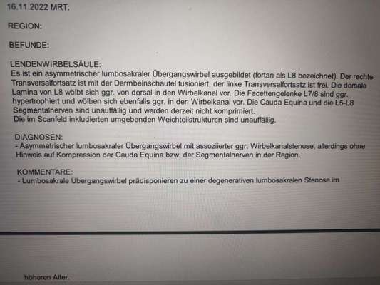 Collies gesucht-Beitrag-Bild