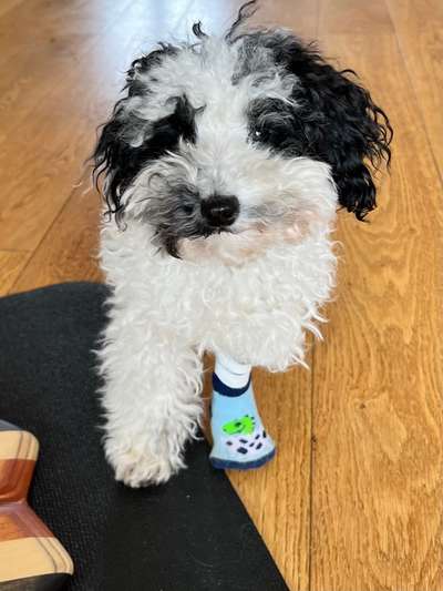 Verband richtig legen-Beitrag-Bild