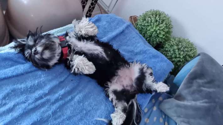 Lieblingsbild-Beitrag-Bild