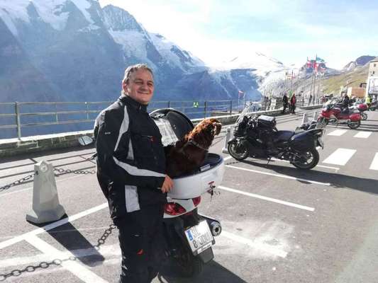 Motorradfahren mit Hund-Beitrag-Bild