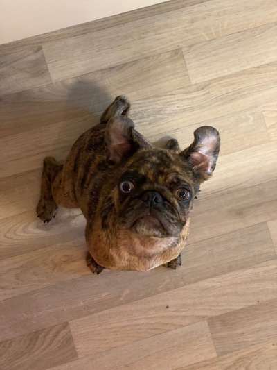 Handy-Foto Challange Nr. 10-Beitrag-Bild