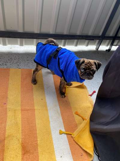 Pullis, Jacken, Hütte und alles sonstiges-Beitrag-Bild