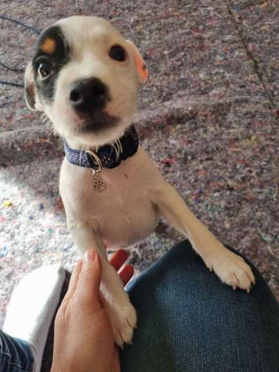 Erstes Bild-Beitrag-Bild