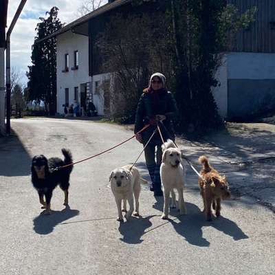 Hundefriseure-Anita_FellFit-Bild