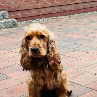 Suchmeldung-Alma-Bild