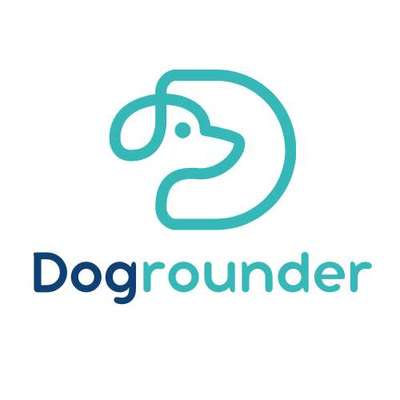 Hundeschulen-DogRounder Hundetraining-Bild