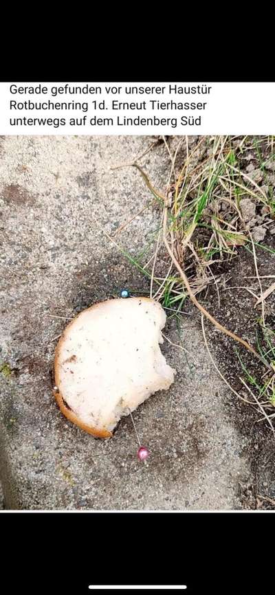 Giftköder-Toastbrot mit Stecknadeln-Bild