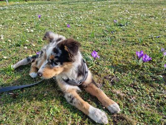 Fotochallenge 78

Es grünt und blüht-Beitrag-Bild