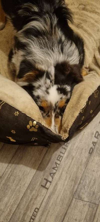 Foto Challange Nr.80-Beitrag-Bild