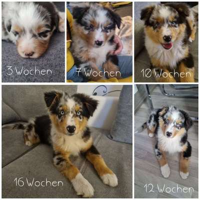 Vorher.... Nachher-Beitrag-Bild