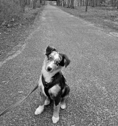 Foto-Challenge 76: Foto in Schwarz-Weiss-Beitrag-Bild