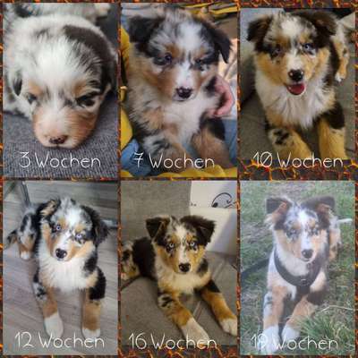 Sie werden so schnell groß!-Beitrag-Bild