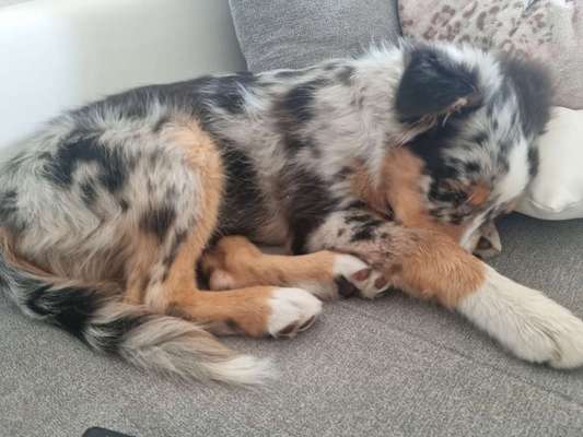 Lieblingsbild-Beitrag-Bild