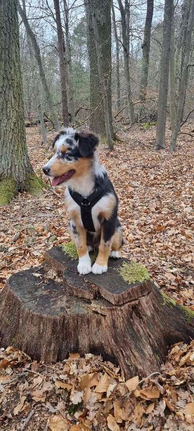 Foto Challenge Nr. 79-Beitrag-Bild