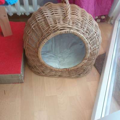 Kennel, ja oder nein?-Beitrag-Bild