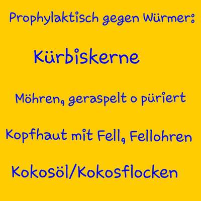 Natürliche Wurmprophylaxe-Beitrag-Bild