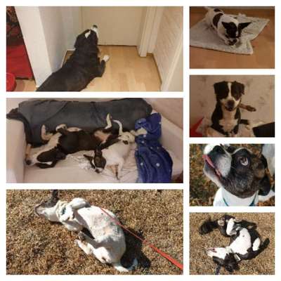 Lieblings Schnappschuss?-Beitrag-Bild