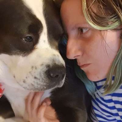 Seelenhunde-Beitrag-Bild