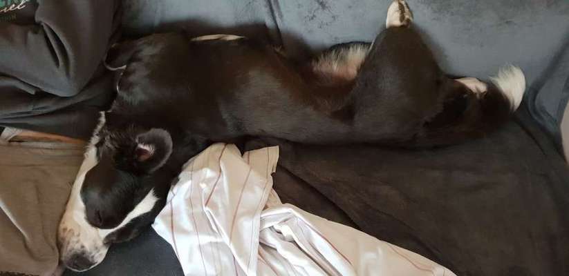 Lieblings Schnappschuss?-Beitrag-Bild