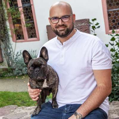 Hundetreffen-Social Walk Egelsbach +Umkreis-Bild