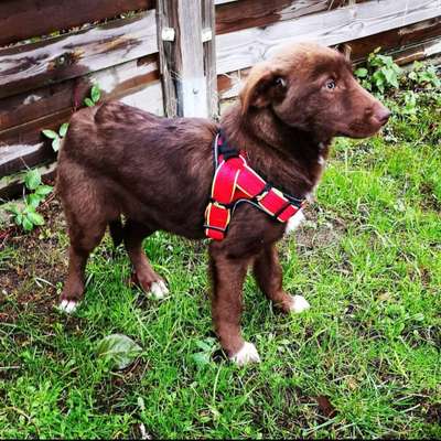 Fotowettbewerb-Beitrag-Bild