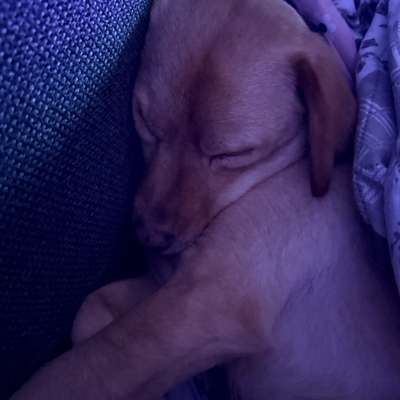 Wie habt ihr den Silvesterabend verbracht?-Beitrag-Bild