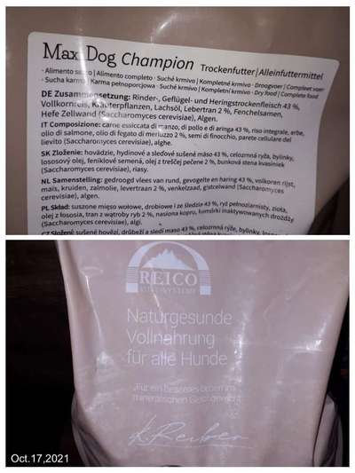 Suche hochwertiges Welpenfutter-Beitrag-Bild