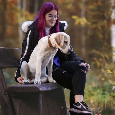 Hundetreffen-entspannte Gassirunden & Spieltreffen 😄🐕-Bild