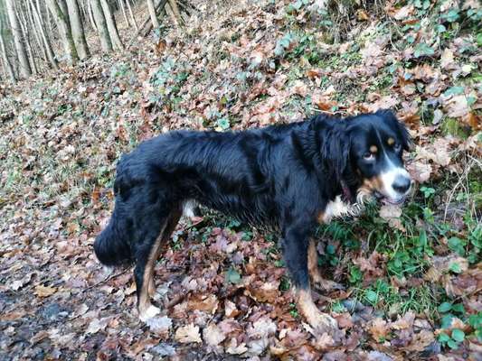 Herbst Bilder-Beitrag-Bild