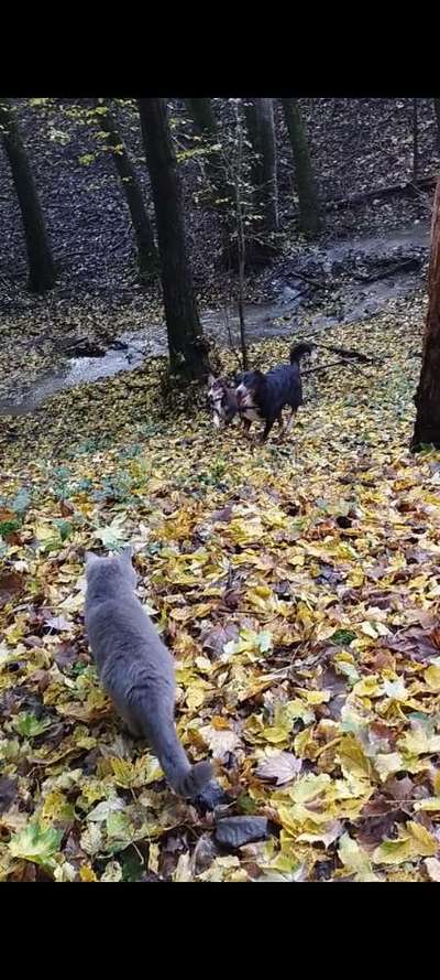 Herbst Bilder-Beitrag-Bild