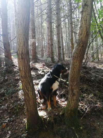 Herbst Bilder-Beitrag-Bild