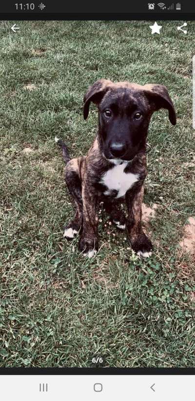 Foto Challenge 3-Beitrag-Bild