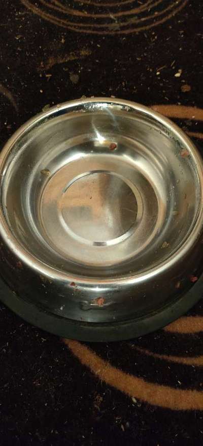 Zeigt her Eure Futternäpfe-Beitrag-Bild