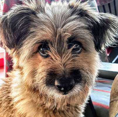 Fotochallange Nr. 57     PORTRÄT.   Beendet!!!!!!!!-Beitrag-Bild