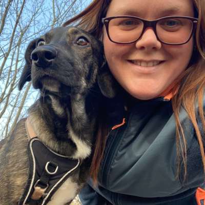 Hundetreffen-Gassirunde Bereich Ahrensburg West / Blockhaus-Profilbild