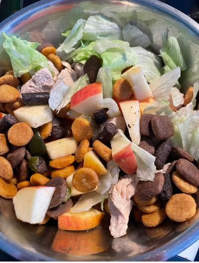 Zeigt her Eure Futternäpfe-Beitrag-Bild