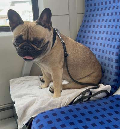 Fotochallenge Nr.122-Beitrag-Bild