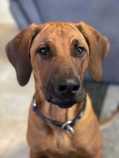 Fotochallange Nr. 57     PORTRÄT.   Beendet!!!!!!!!-Beitrag-Bild