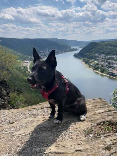 Fotochallenge Nr 107-Beitrag-Bild