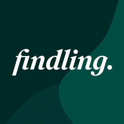 Hundeschulen-Findling.-Bild