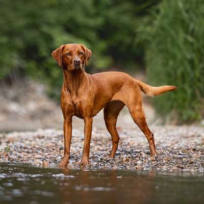 %{de_profession_title}-Einzeltraining-Bild