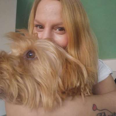 Hundetreffen-Hunde Freund gesucht