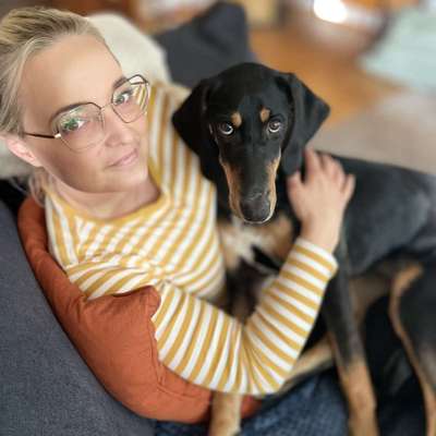 Hundetreffen-Gassirunde-Profilbild