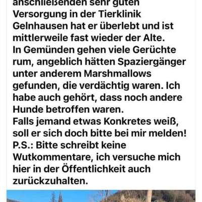 Giftköder-Giftköder-Bild