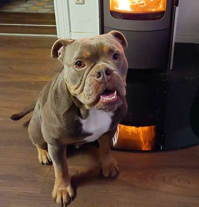 Fotochallange Nr. 57     PORTRÄT.   Beendet!!!!!!!!-Beitrag-Bild