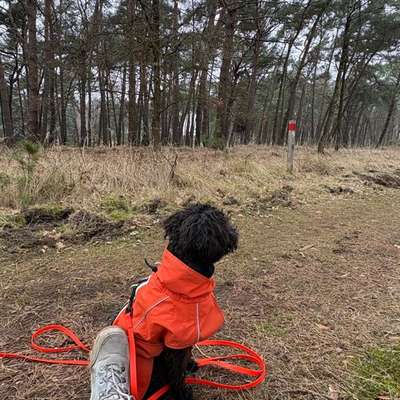 aktuelles Foto Gruppe Wandern und Outdoor
