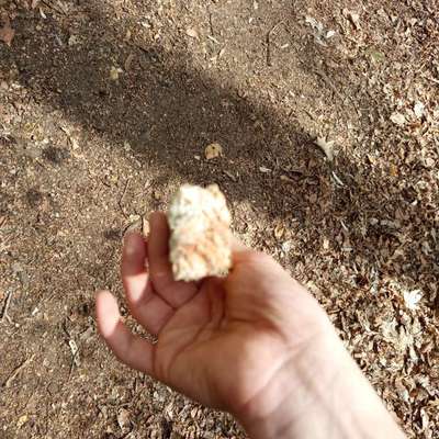 Giftköder-Gifköder vielleicht-Bild