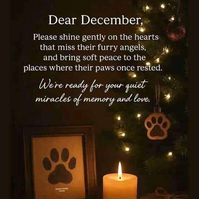 aktuelles Foto Gruppe Trauer um ein Haustier