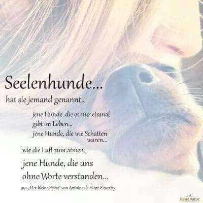 Angelina's Profilbild